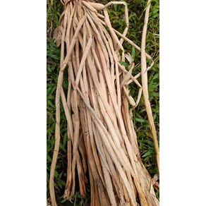 

Eceng Gondok Kering [25 biji]