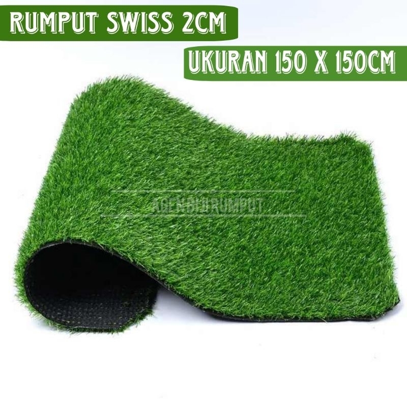 Rumput sintetis swiss 2cm - 150cm x 150cm - rumput sintetis dekorasi - rumput palsu terbaik - rumput