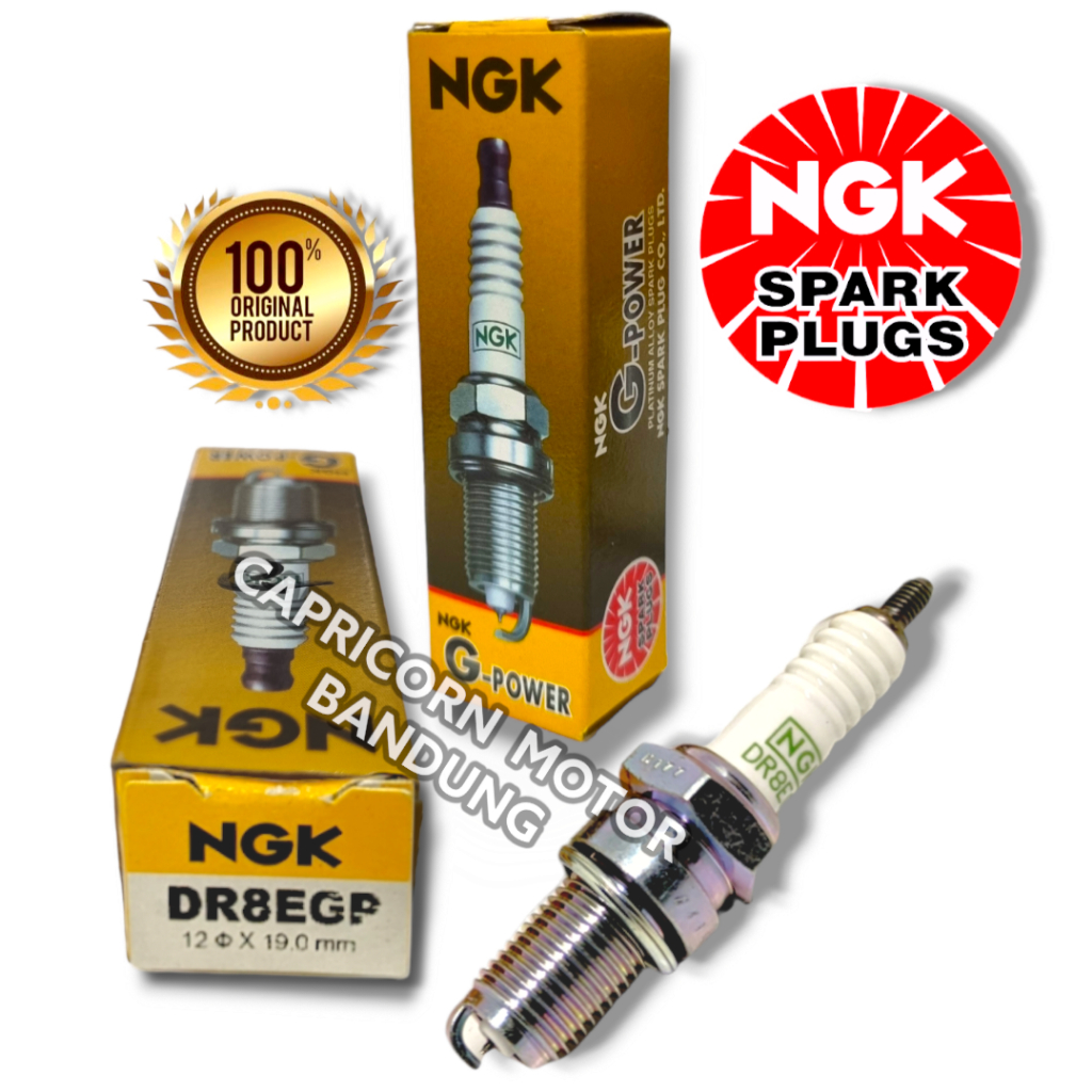 BUSI RACING NGK G POWER DR8EGP PLATINUM TIGER SCORPIO MEGA GL PRO MAX SHADOW KANZEN
