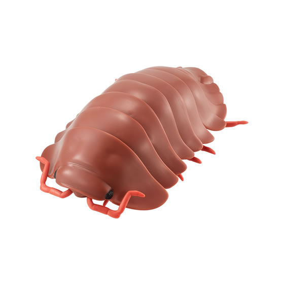 Cubaris Iriomotensis Red Brown Pillbug Roly Poly Dangomushi 06 Bandai