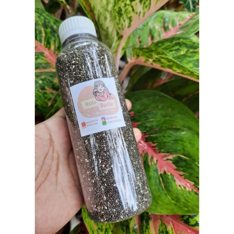 

Chia Seed Organik / Chiaseed Organik Premium / Chiaseeds Mexico High Quality