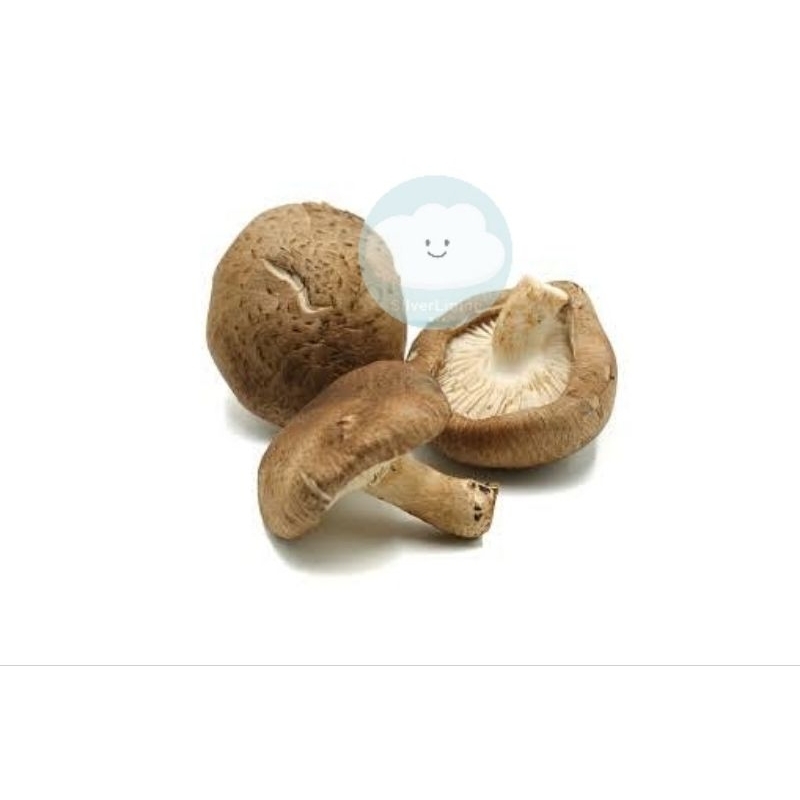 

JAMUR SHITAKE 200 GRAM/PACK