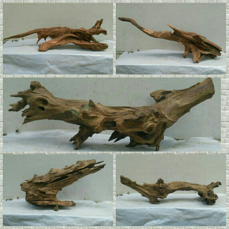 Kayu Rentek Sedang untuk Aquascape Hardscape Belum Tenggelam