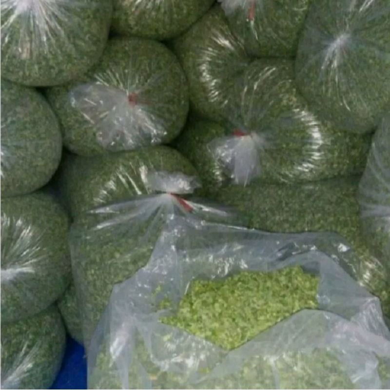 

Daun kelor kering 1kg - 500gr murah berkualitas