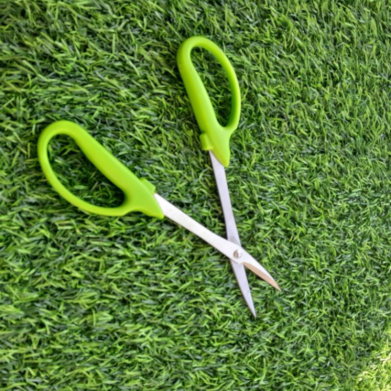 gunting pruning gunting akar tanaman bunga hias