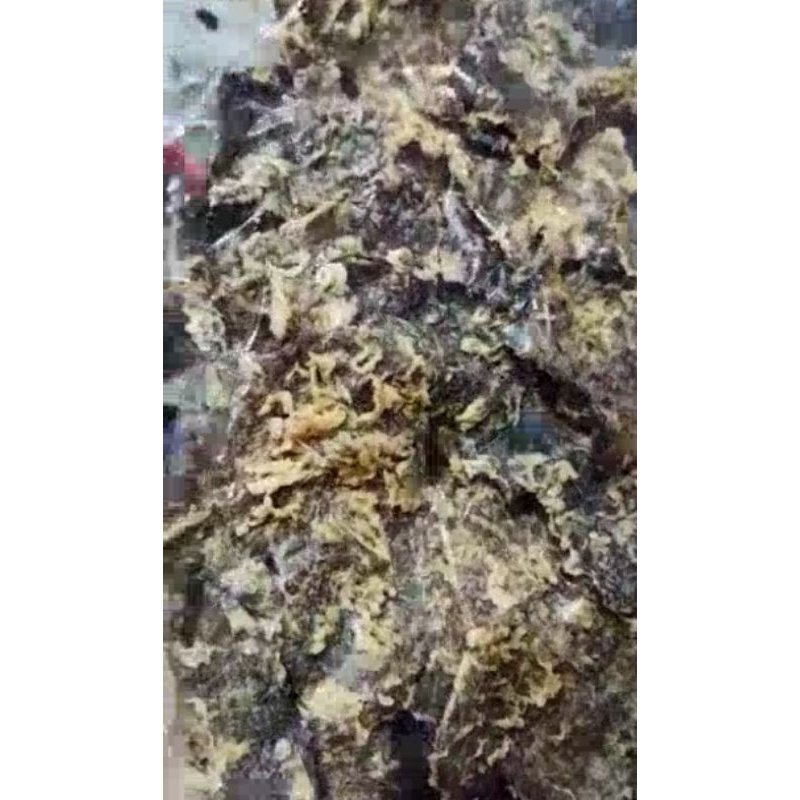 

Keripik paru solo asli