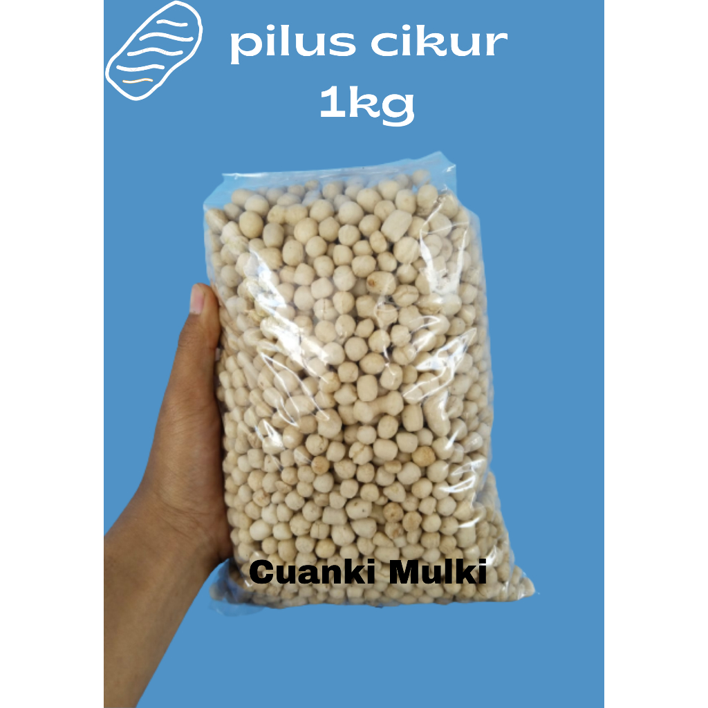 

sukro cikur toping boci 1kg cuanki mulki garut