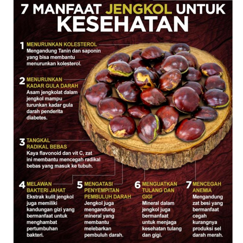 

NOB jengkol tua mentah kualitas super kemasan 1kg