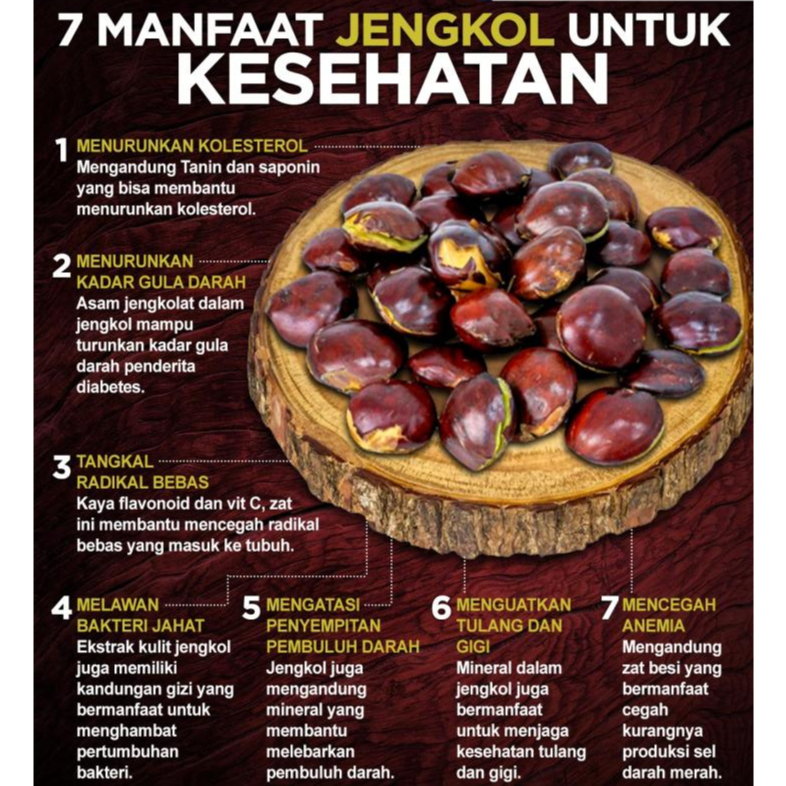 

RB22 jengkol tua mentah kualitas super kemasan 500 gram