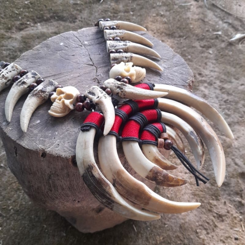 Kalung Taring Khas Dayak Kalimantan Taring Babi Buatan Variasi