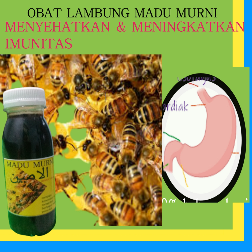 

Madu orginal madu asli Al amin