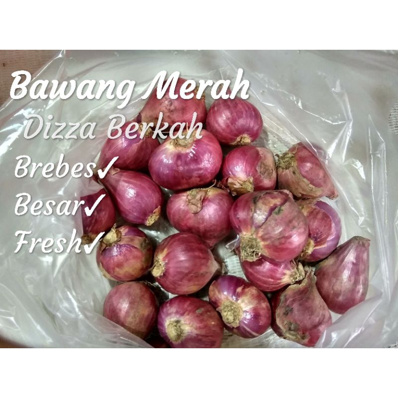 

Bawang Merah/250gr/Pilihan/Segar/Bagus/Dizza Berkah