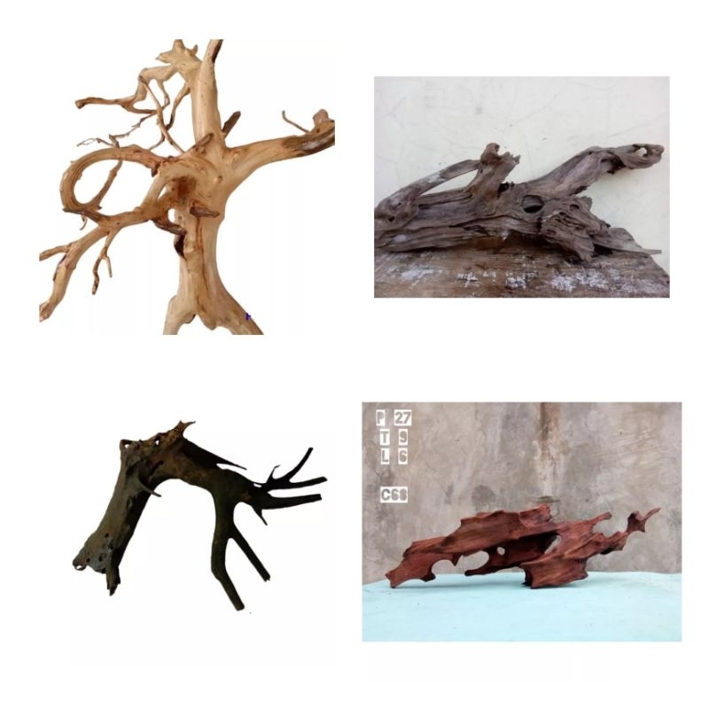 KAYU RENTEK&AKAR RASAMALA aquascape