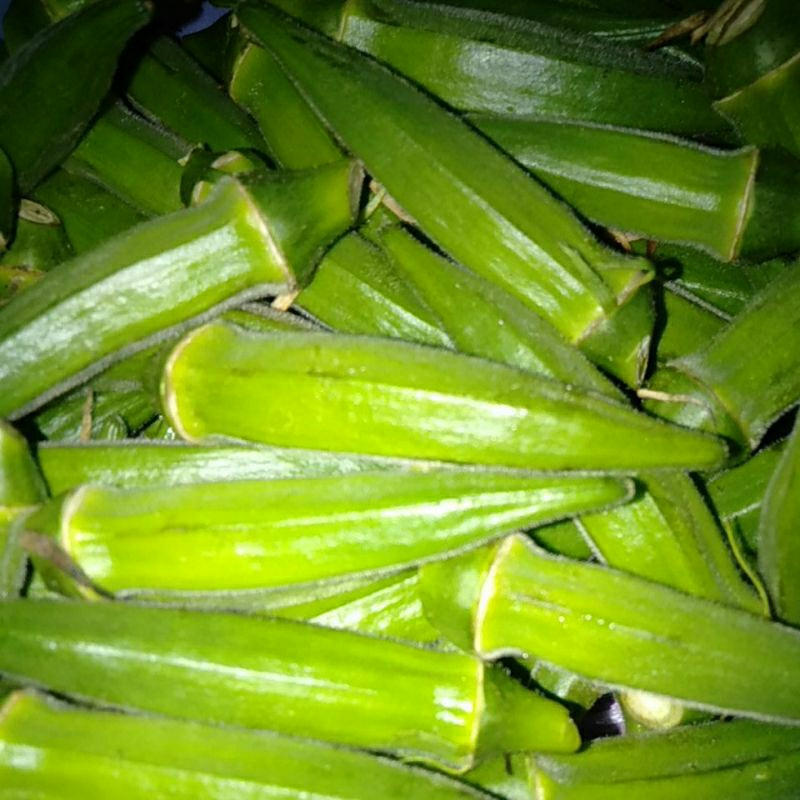 

SAYUR OKRA BENDI LADYFINGER Segar