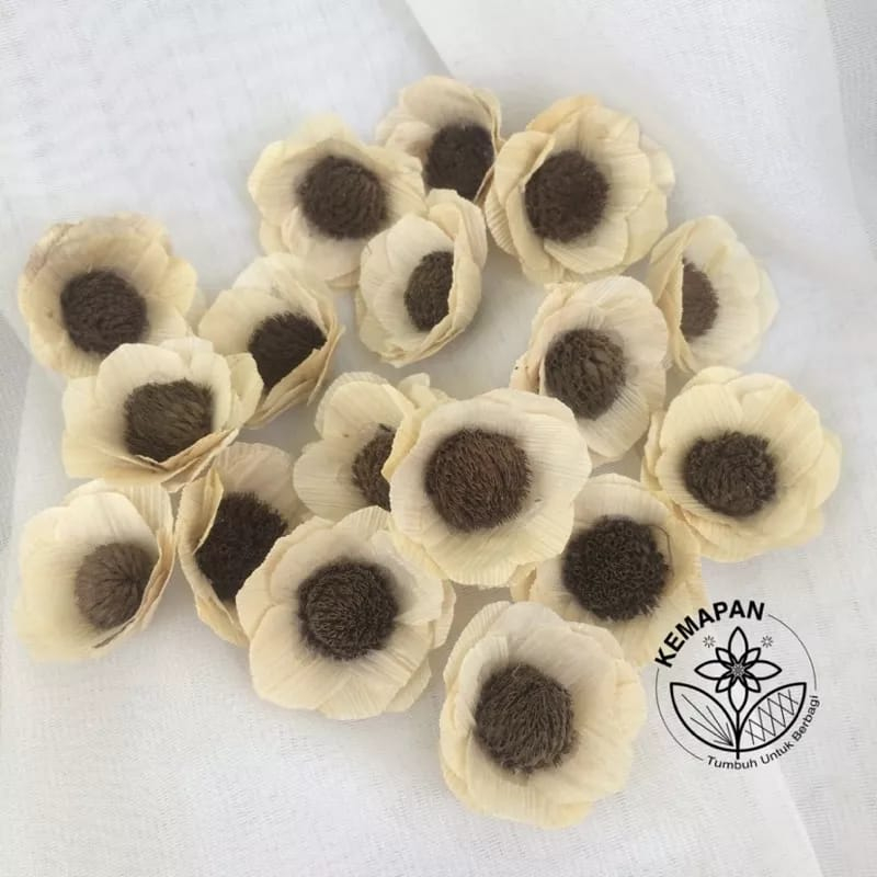 BUNGA KLOBOT JAGUNG KERING HIASAN RUSTIC DEKORASI MAHAR PERNIKAHAN DIY