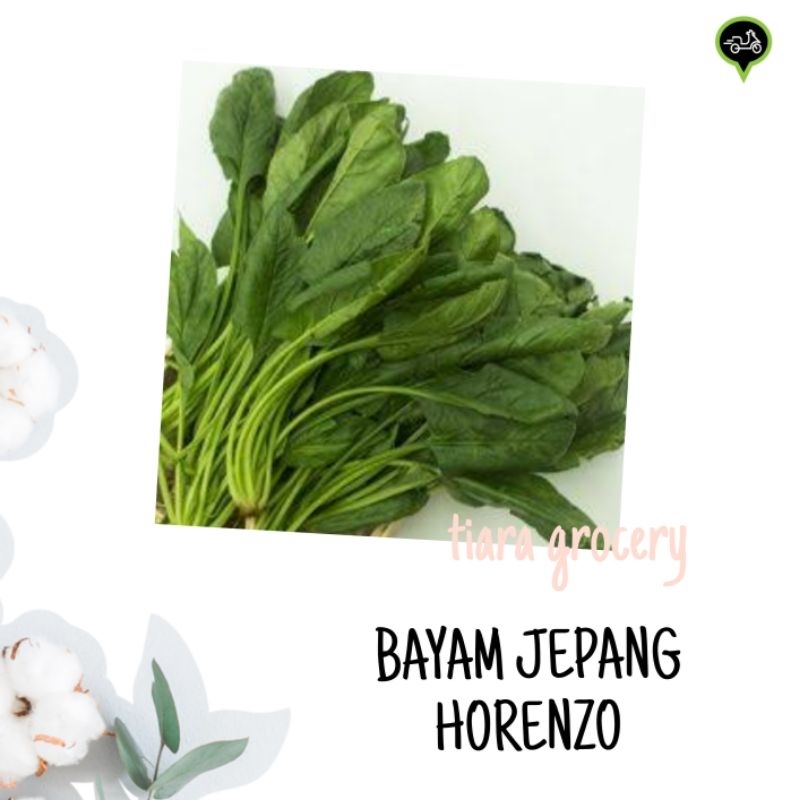 

Bayam jepang horenzo / Bayam lokal / Bayam hidroponik /Bayam mix