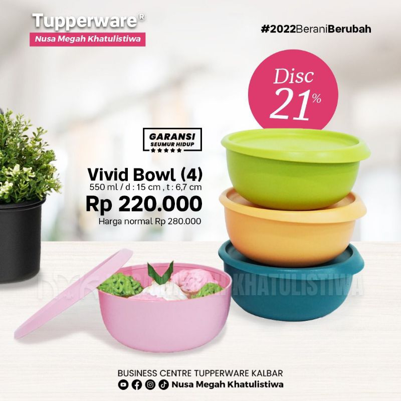 vivid bowl tupperware