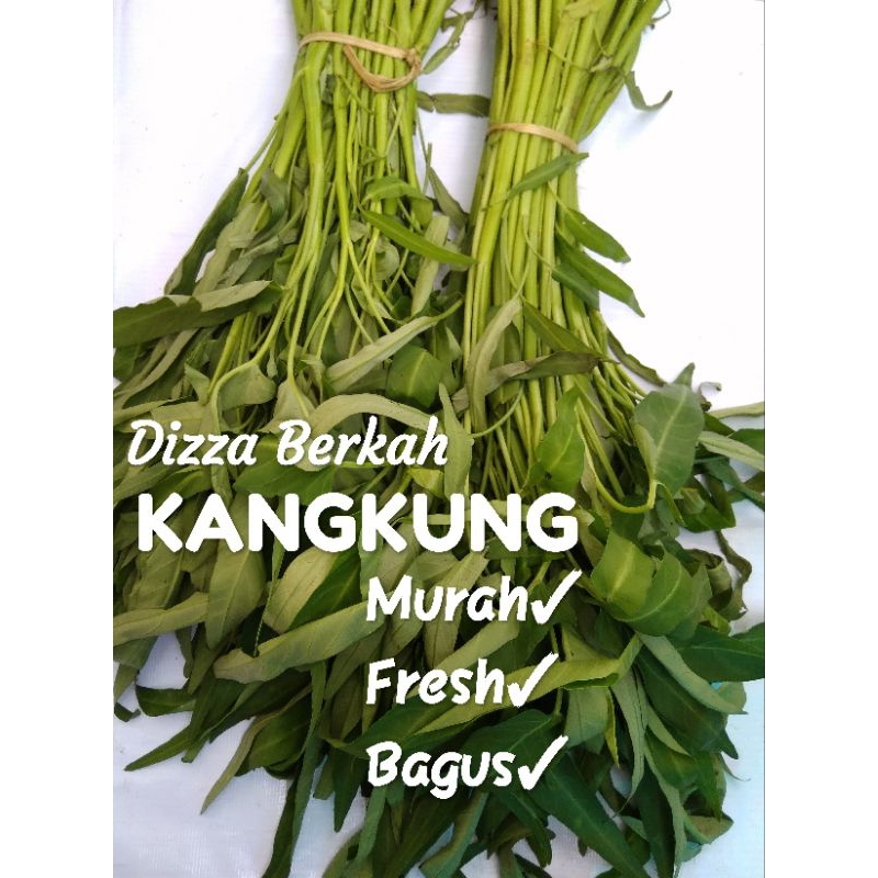 

Kangkung/1 ikat/Fresh/Pilihan/Dizza Berkah