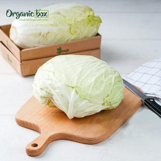 

Kol putih organik Quality Farm