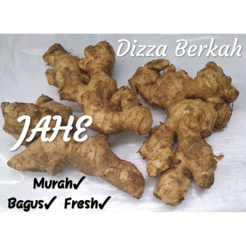 

JAHE PUTIH (250gr) - Dizza Berkah