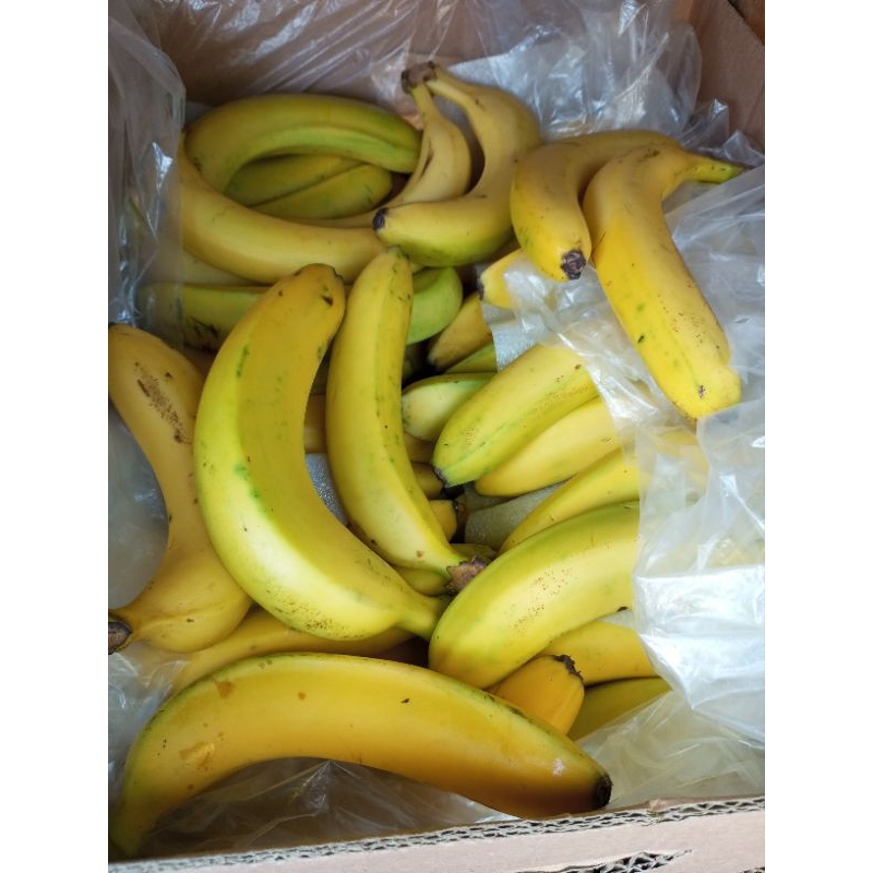 

Pisang Cavendish Bijian Sunpride 1 kg Protolan psc