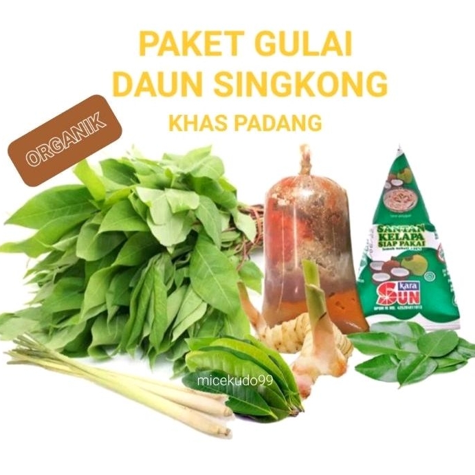 

PAKET SAYUR GULAI DAUN SINGKONG ORGANIK KHAS PADANG FRESH SEGAR GULE