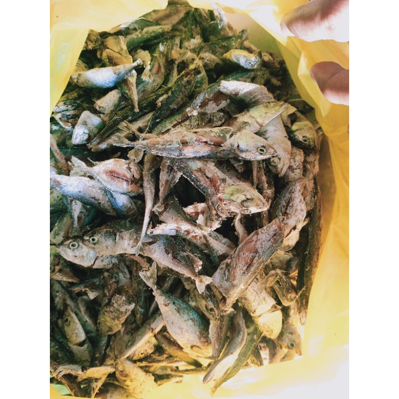 

Ikan Asin Sampah anak gembung