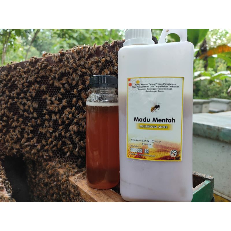 

Raw Honey - Madu Mentah Multiflora Super