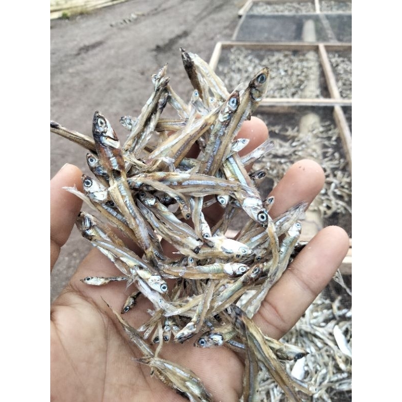 

menjual berbagai jenis ikan asin eceran dan glosir harga mulai dari 50,000-130,000