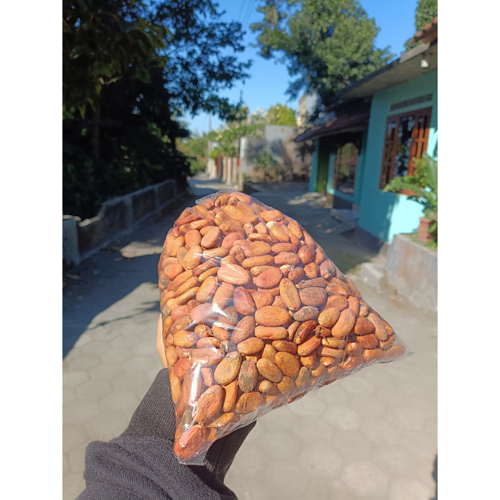 

biji kakao coklat premium 1 kg cocoa fruit