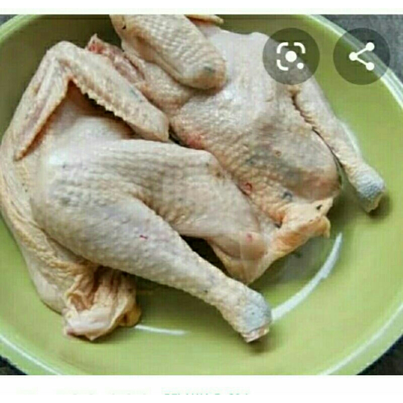 

ayam kampung 800 gram-1 kg