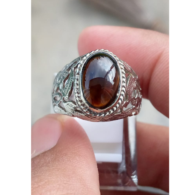 Bacan coklat merah bacok cokmer 01