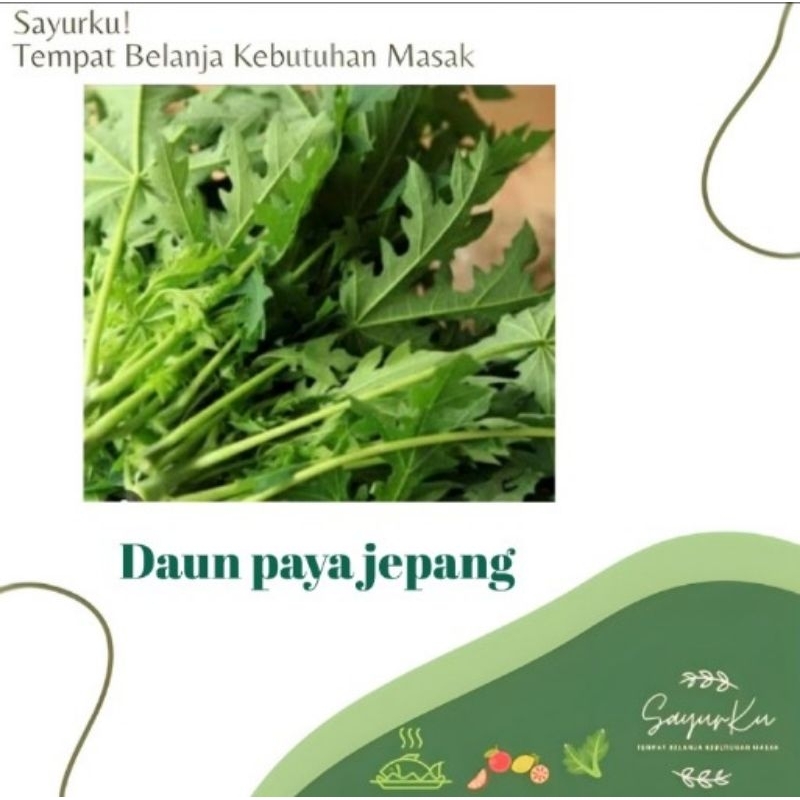 

Daun paya jepang per ikat