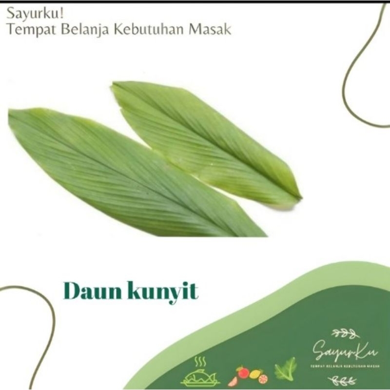 

Daun kunyit per ikat