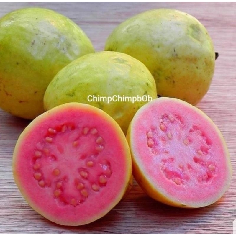 

JAMBU MERAH SEGAR 1 KG / GUAVA RED FRESH FRUIT