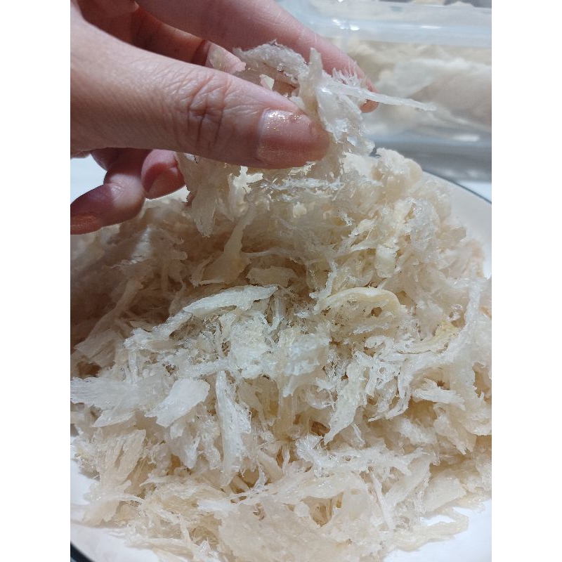 

Sarang Burung Walet Bersih Kalimantan Terian (Hancuran Besar) 10 Gram YANWO Fook Birdnest