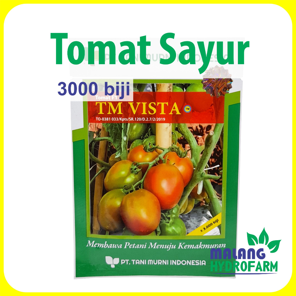 Benih Tomat Sayur TM Vista 3000 biji Tani Murni Indonesia dataran menengah tinggi biji unggul bibit 
