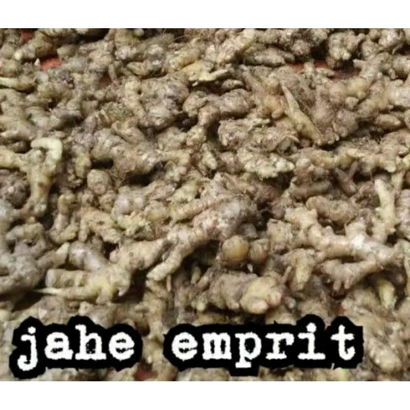 

jahe emprit fresh 1kg