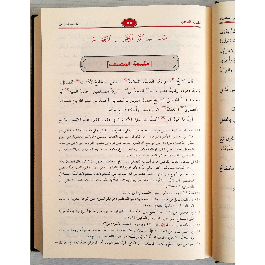 Jual Kitab Syarah Syudzuru Dzahab Skema Muassasah Alresalah Syarh Syuzuru Zahab Ibnu Hisyam al Anshari | شرح شذور الذهب ومعه منتهى الأرب Impor Original di Toko Kitab Alresalah