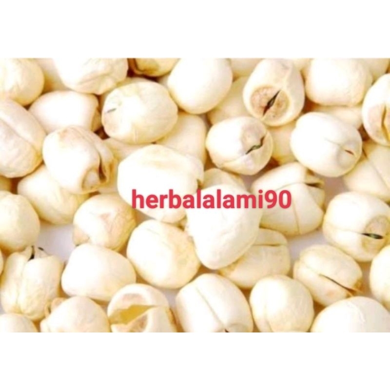 

biji teratai lotus seed lienci lian zi import 500gr