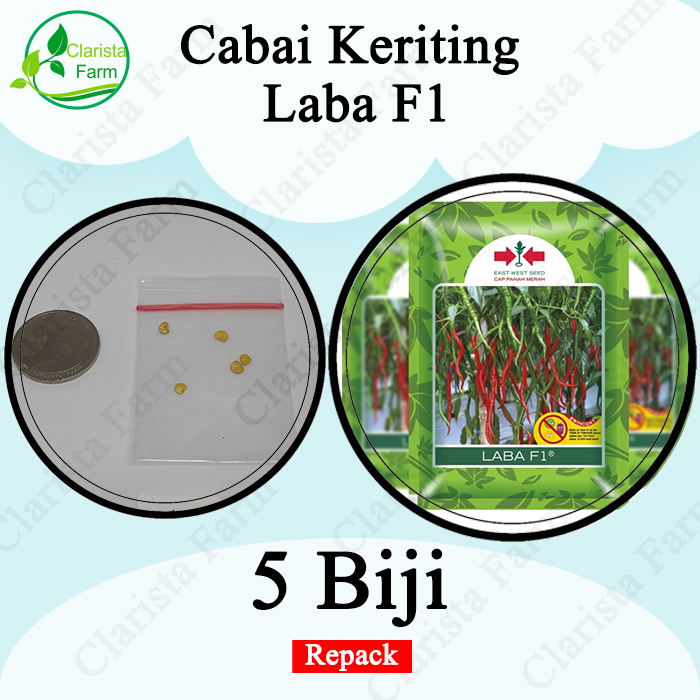 Benih Bibit Cabai Cabe Keriting Laba F1 Repack Cap Panah Merah