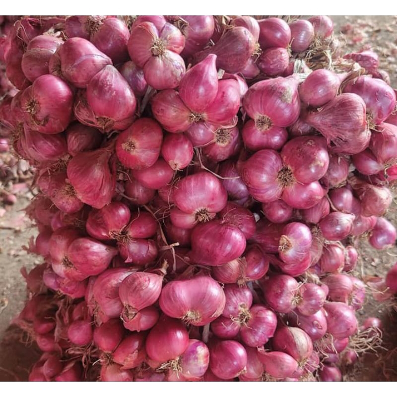 

Bawang merah