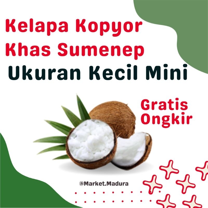 Kelapa Kopyor /Puan/ Poan Asli Sumenep Madura | Variasi Paling Kecil