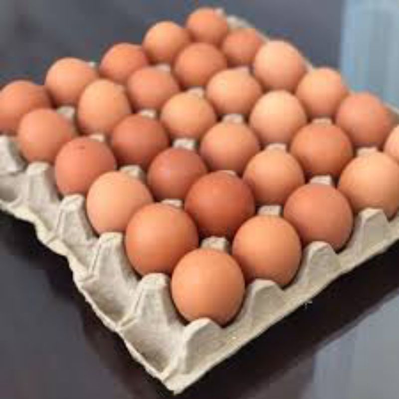 

Telur Ayam Merah Size Standar (30 Butir}