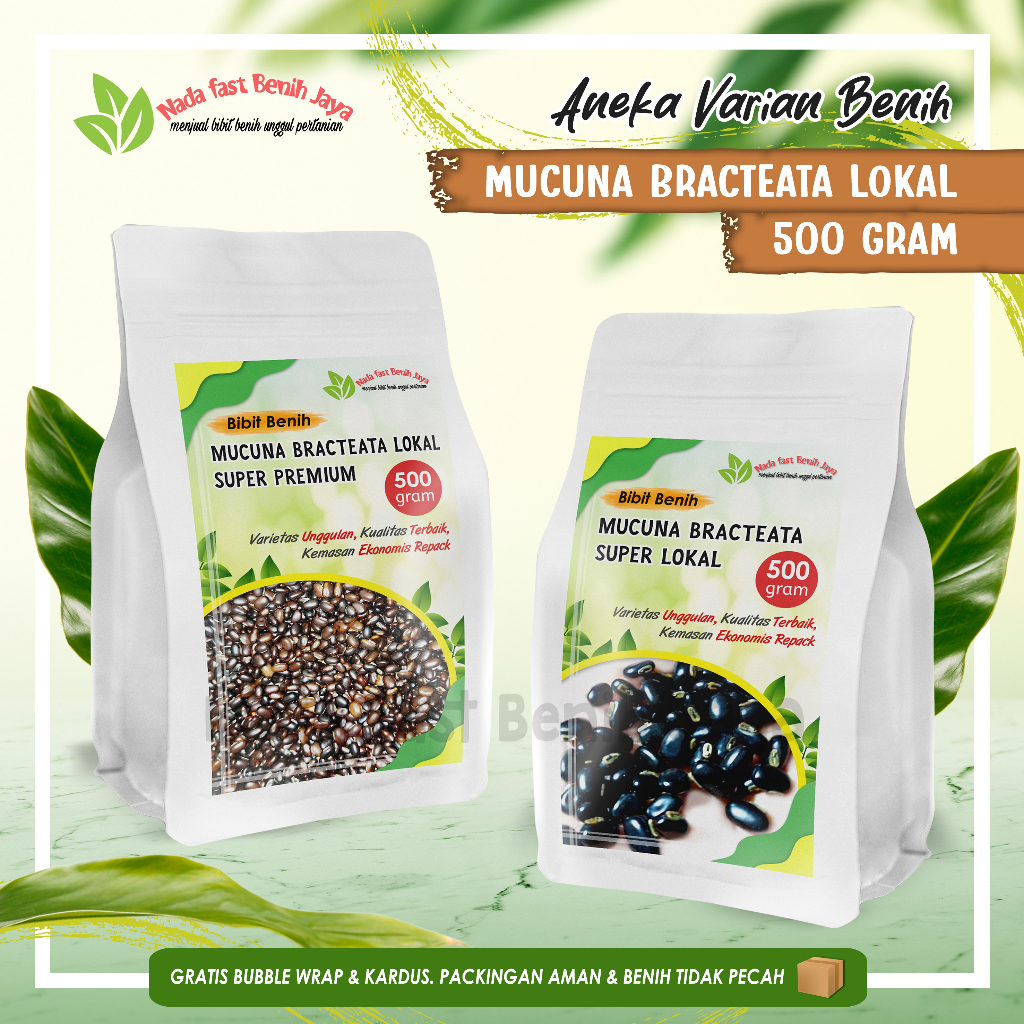 Benih Mucuna Bracteata lokal super premium / Benih MB benih kacang kacangan cover crop / Mucuna brac