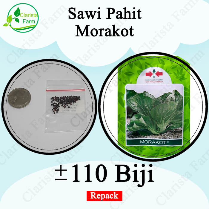 Benih Bibit Sawi Pahit Morakot Repack Cap Panah Merah