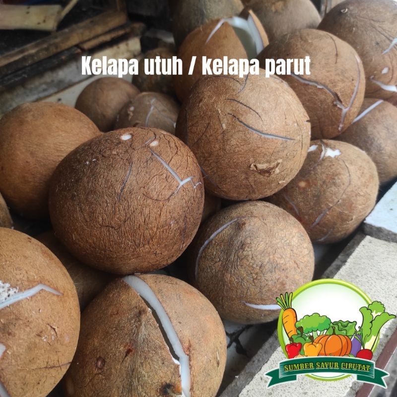 

Kelapa parut 1 butir - KIRIM INSTAN