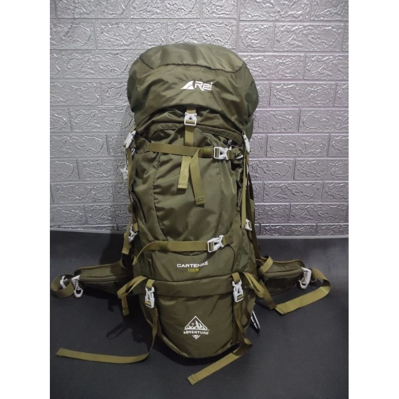 Carrier Arei Cartenz 60L