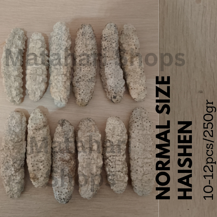 

Haishen Ginseng Laut Teripang Gamat Kualitas Eksport Normal Size