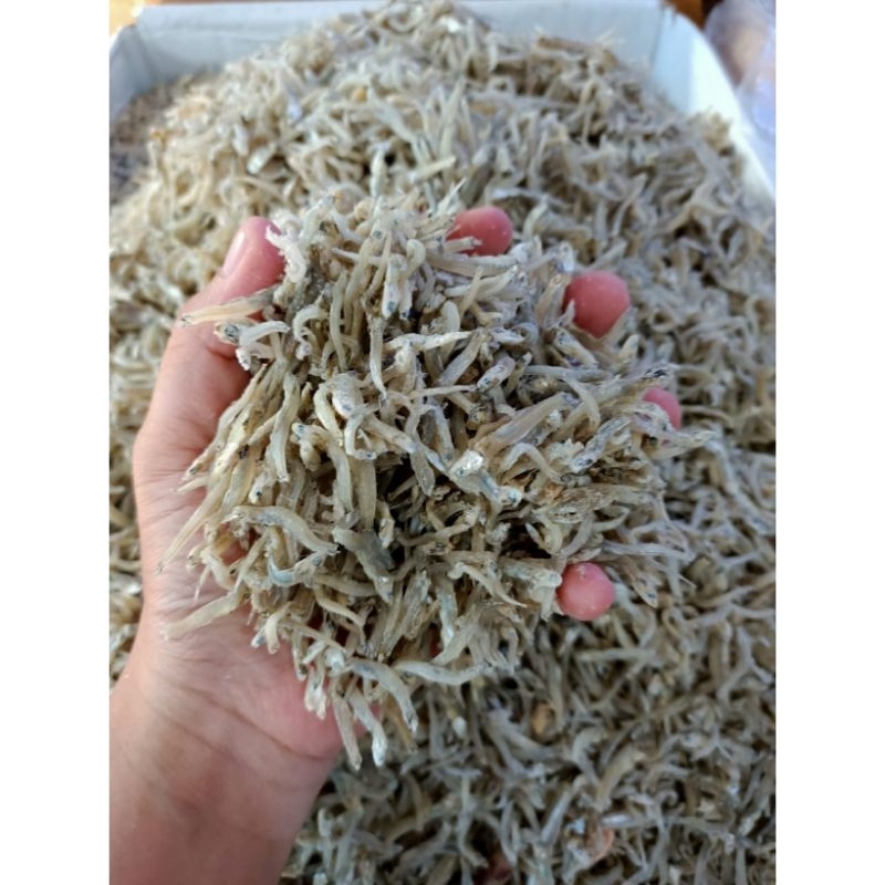 

Ikan Teri Thailand (500g) Ikan Teri Tawar / Ikan Teri Murah / Ikan Bilis / Kang He / Ikan Asin Teri